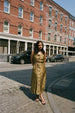 COLORANT SYMPHONY DRESS | EARTH