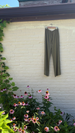 COLORANT LOLANI PANTS | EARTH